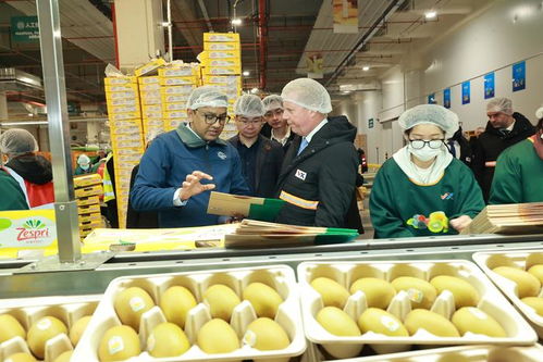 新西兰贸易与农业部长亲临助阵，佳沛奇异果新季对华启航，深化优质农产品合作