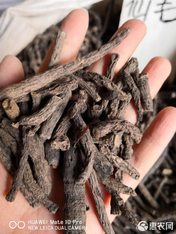 仙茅 优质初级农产品，量大从优，健康养生的明智之选