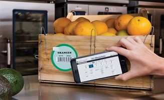 从田野到全球 荷兰农业百年演进与中国初级农产品发展的启示