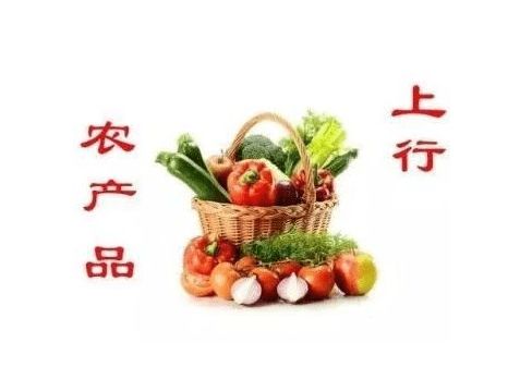 农产品上行的关键要素 助力初级农产品流通增值