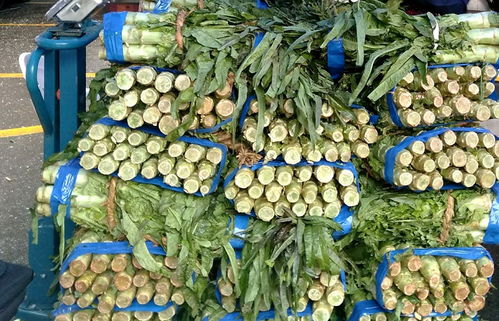 贵阳支持学校团餐运营企业直采直销本省农产品，助力初级农业产业升级